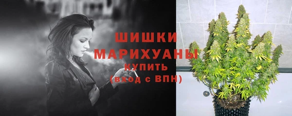 Альфа ПВП Аркадак