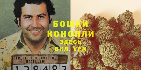 Альфа ПВП Аркадак