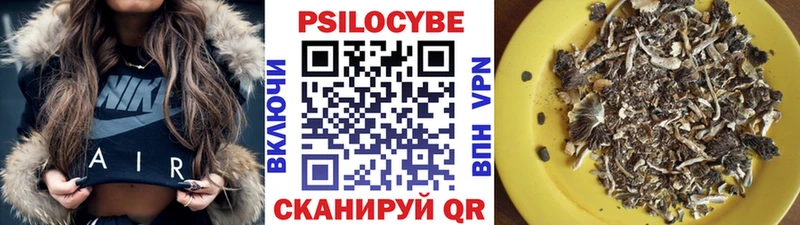 shop какой сайт  Пугачёв  Галлюциногенные грибы Psilocybe 